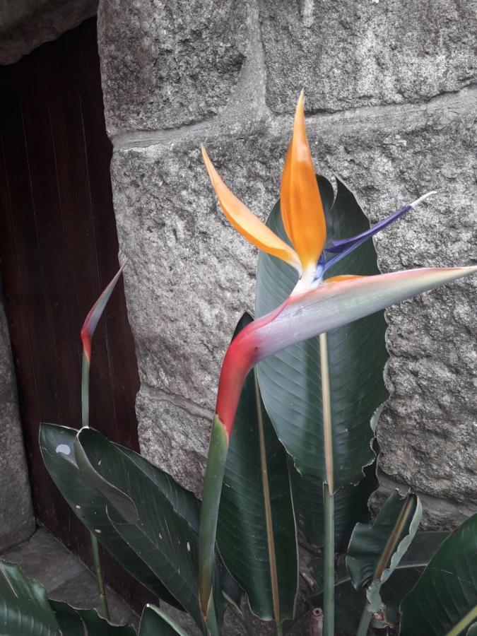 Casa Estarque Guest House Gondomar Exterior foto